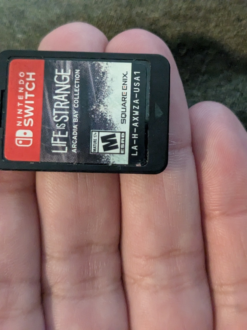 Life Is Strange Switch Game
